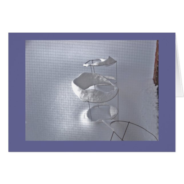 冬のトマトのおり (正面横)