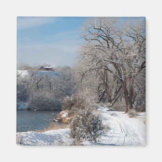 冬のトレイルのクリスマスマグネット マグネット (正面)