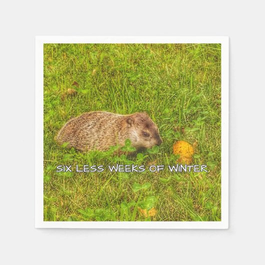 冬のナプキンの6週間弱 スタンダードカクテルナプキン (正面)