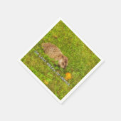 冬のナプキンの6週間弱 スタンダードカクテルナプキン (角)