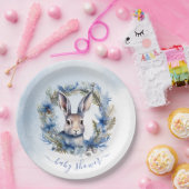 冬のハレの水の色ベビーシャワー ペーパープレート (パーティー)