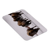 冬のバイソン マグネット (右側)