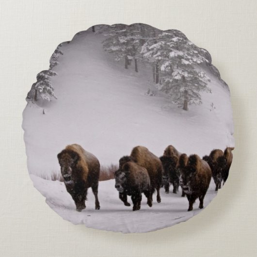 冬のバイソン ラウンドクッション (正面)