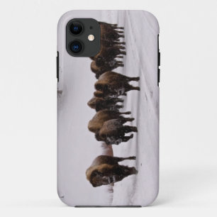 冬のバイソン iPhone 11 ケース