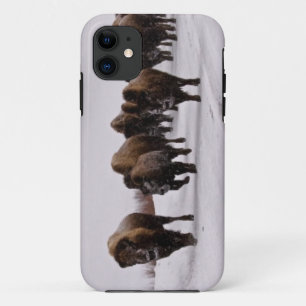 冬のバイソン iPhone 11 ケース