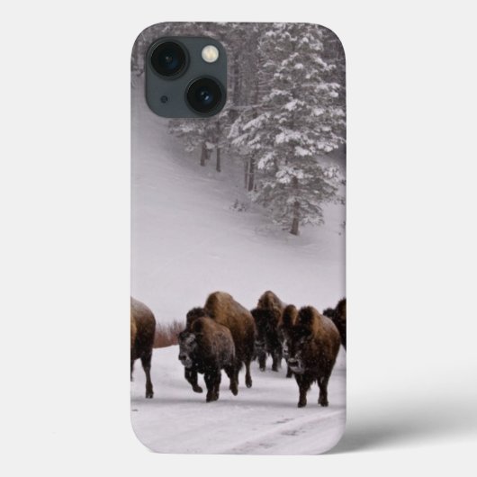 冬のバイソン Case-Mate iPhoneケース (裏面)