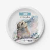 冬のバイブシール – 誕生日パーティー – ペーパープレート (正面)