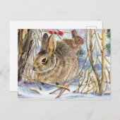 冬のバニー ポストカード (正面/裏面)