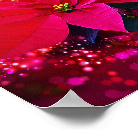 冬のバラポインセチア/ウィニハナクトゥスタンフェスティリヒ ポスター (角)