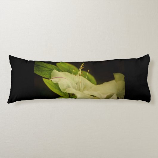 冬のバラ ボディピロー (正面)