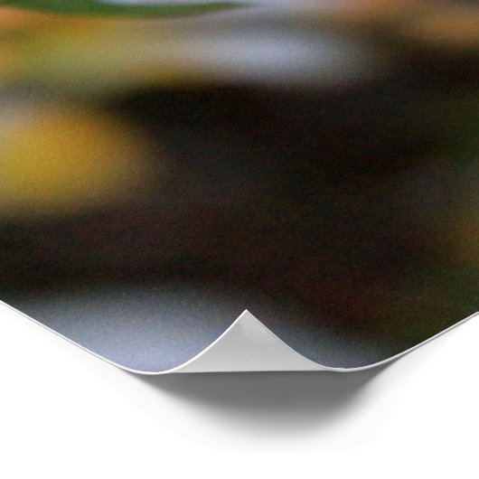 冬のバラ ポスター (角)