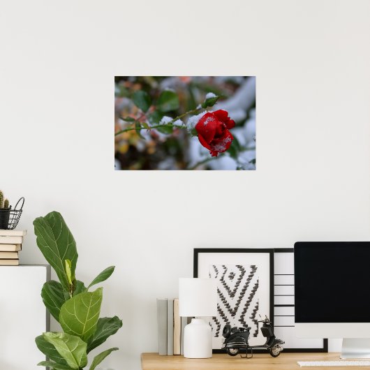 冬のバラ ポスター (ホームオフィス)