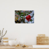 冬のバラ ポスター (キッチン)