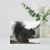 冬のバルコニー食べ物のピーナッツに黒いリス ポストカード (スタンド正面)