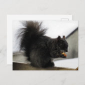 冬のバルコニー食べ物のピーナッツに黒いリス ポストカード (正面/裏面)