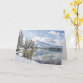 冬のバンフ国立公園 カード (黄色い花)