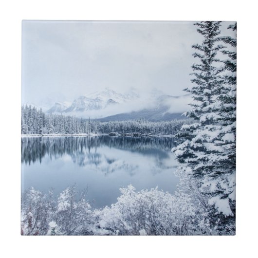 冬のバンフ国立公園 タイル (正面)