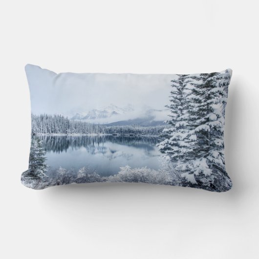 冬のバンフ国立公園 ランバークッション (正面)