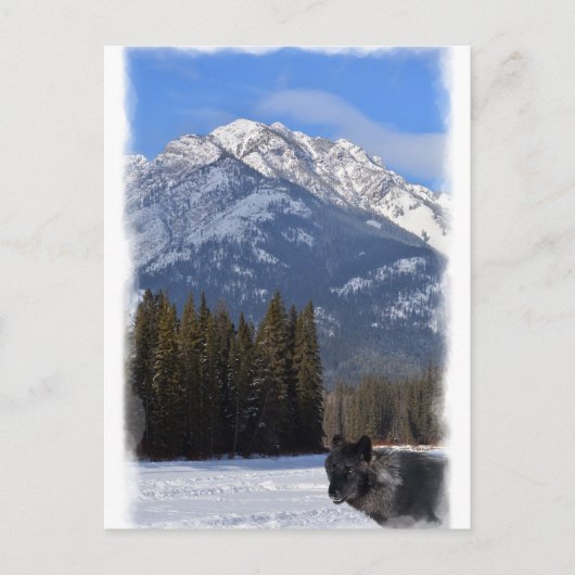 冬のバンフ・ウルフ山カスケード ポストカード (正面)