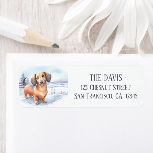 冬のビーズウォーターカラーダックスシュント –  ラベル (インサイチュ)