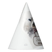 冬のビーズラクーン – バースデーパーティーハット パーティーハット (左)