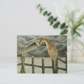 冬のフクロウ ポストカード (スタンド正面)