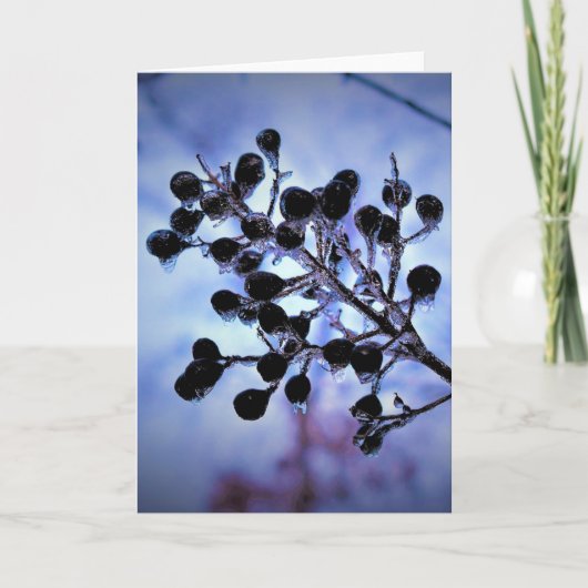 冬のフリーズ、カード カード (正面)