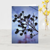 冬のフリーズ、カード カード (黄色い花)