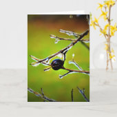 冬のフリーズ、カード カード (黄色い花)