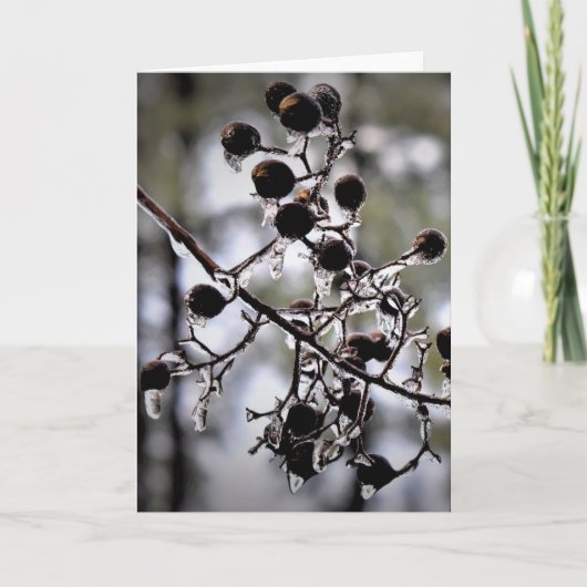 冬のフリーズ、カード カード (正面)