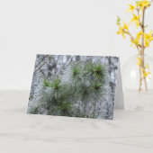 冬のフリーズ、カード カード (黄色い花)