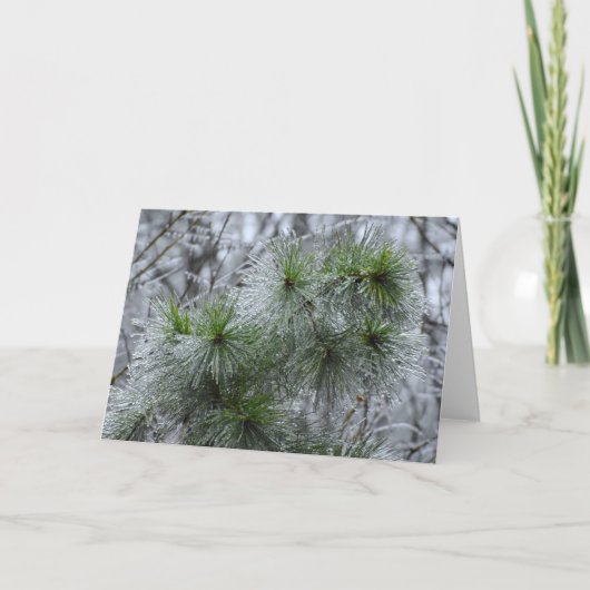 冬のフリーズ、カード カード (正面)