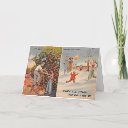 冬のフロリダ カード (正面)