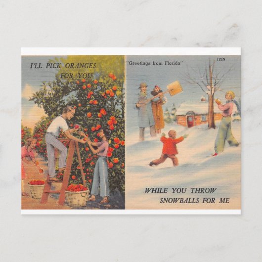 冬のフロリダ ポストカード (正面)