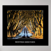 冬のブナ ポスター (正面)