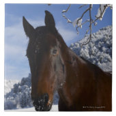 冬のブラウンの馬 タイル (正面)