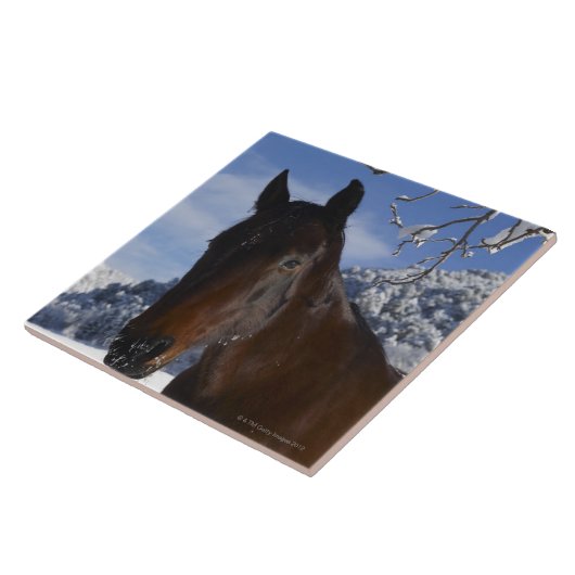 冬のブラウンの馬 タイル (側面)