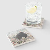 冬のブラックバード ストーンコースター (横)