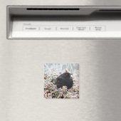 冬のブラックバード マグネット (インサイチュ (食洗機))