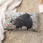 冬のブラックバード ランバークッション (ブランケット)