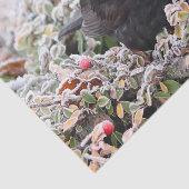 冬のブラックバード 薄葉紙 (詳細)