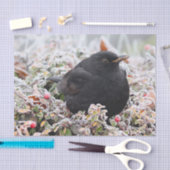 冬のブラックバード 薄葉紙 (クラフト)