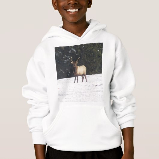 冬のブルエルク (正面)