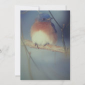 冬のブルーバードアニマルパーティー 招待状 (裏面)