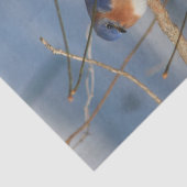 冬のブルーバードデコップページ 薄葉紙 (詳細)