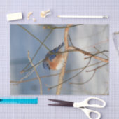 冬のブルーバードデコップページ 薄葉紙 (クラフト)