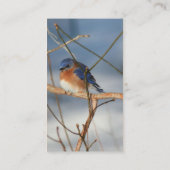 冬のブルーバード自然名刺 名刺 (裏面)