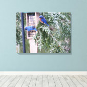 冬のブルーバード キャンバスプリント (インサイチュ (ウッドフロア))