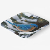 冬のブルーバード ペーパープレート (傾斜あり)