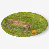 冬のプレート ペーパープレート (アングル)